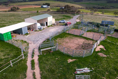 4005 Delegate Road Delegate NSW 2633 - Image 3