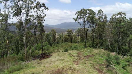 173 Knodingbul Forest Road Mount George NSW 2424 - Image 1