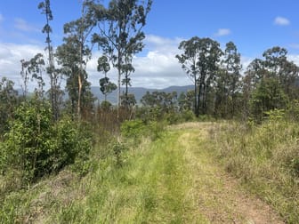 173 Knodingbul Forest Road Mount George NSW 2424 - Image 2