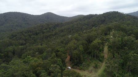 173 Knodingbul Forest Road Mount George NSW 2424 - Image 3
