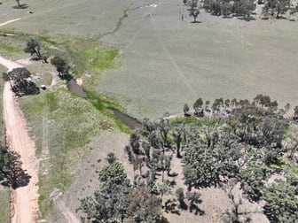 187 Roos Road Tenterfield NSW 2372 - Image 2