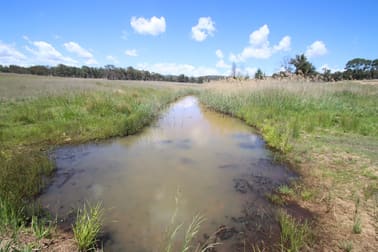 187 Roos Road Tenterfield NSW 2372 - Image 3