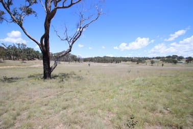 187 Roos Road Tenterfield NSW 2372 - Image 1