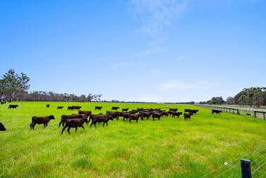 431 Morningside Road Wahring VIC 3608 - Image 3