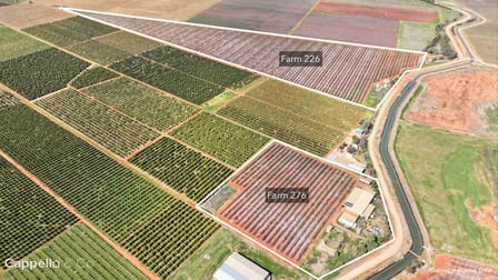 226 & 276 New Farms Road Nericon NSW 2680 - Image 1