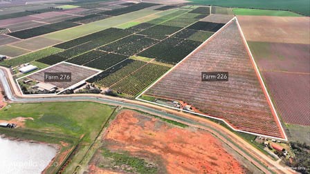 226 & 276 New Farms Road Nericon NSW 2680 - Image 2