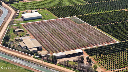 226 & 276 New Farms Road Nericon NSW 2680 - Image 3