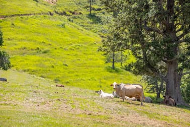 Mount Delaney QLD 4514 - Image 3