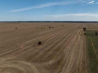 Haddington, 647 Sandy Camp Road Quambone NSW 2831 - Image 3