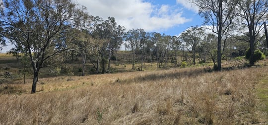 0 New England Highway Thornville QLD 4352 - Image 3