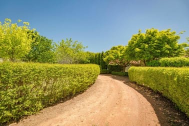517 Dog Trap Road Yass NSW 2582 - Image 3