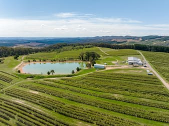 Courabyra NSW 2653 - Image 1