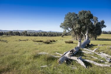 CA37A and 37B Hartridge Road Molyullah VIC 3673 - Image 3