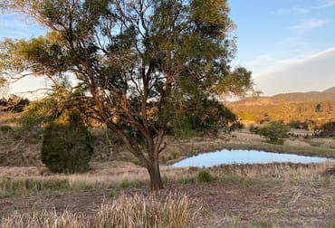 212A Norries Road Bunyah NSW 2429 - Image 2