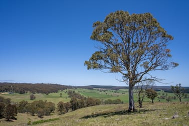72 Millers Lane Chatham Valley NSW 2787 - Image 2