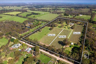 53 Hunts Road Balnarring VIC 3926 - Image 2