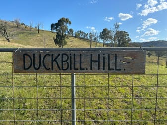 5100 Halls Creek Road Halls Creek NSW 2346 - Image 1
