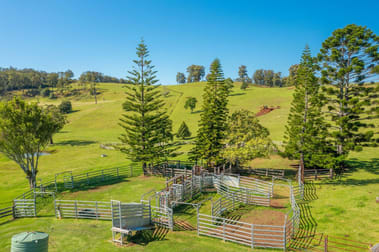 669 Costigans Road Yarras NSW 2446 - Image 3