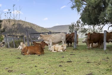 26 Macginley Road West Haldon QLD 4359 - Image 1