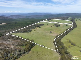 1187 Bonnie Doon Road Boho South VIC 3669 - Image 1