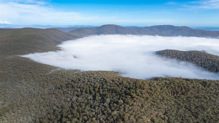 . Firebrace Track Bullioh VIC 3700 - Image 3