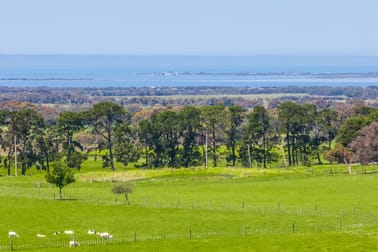 2-38 Soho Road Drysdale VIC 3222 - Image 3