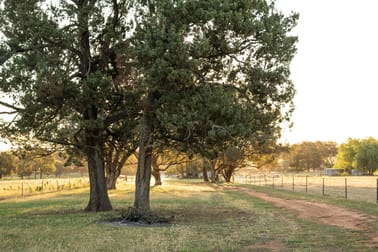 "Creekview" Newell Highway Alectown NSW 2870 - Image 2