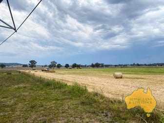 95 Monto Mount Perry Road Tellebang QLD 4630 - Image 1