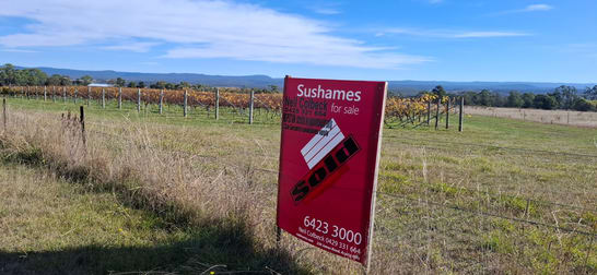 15094 Tasman Highway Cranbrook TAS 7190 - Image 1