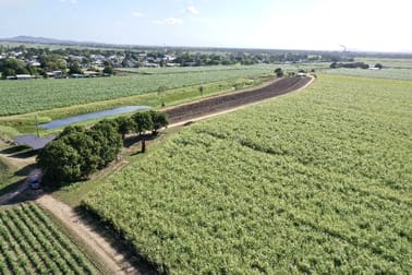 20 Colevale Road Brandon QLD 4808 - Image 3
