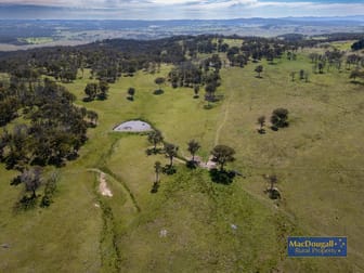 2929 Rockvale Road Armidale NSW 2350 - Image 2