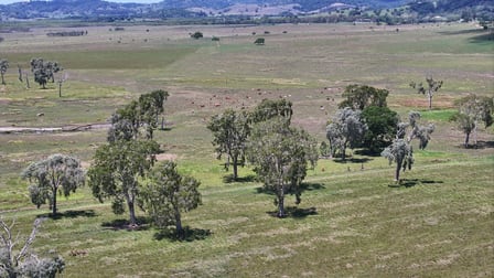54 Sants Road Habana QLD 4740 - Image 3