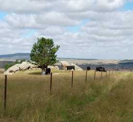 441 Bulgundara Road Dalgety NSW 2628 - Image 1
