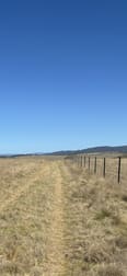 441 Bulgundara Road Dalgety NSW 2628 - Image 3