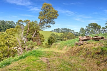 Lot 1 Yarragon Leongatha Road Yarragon VIC 3823 - Image 2