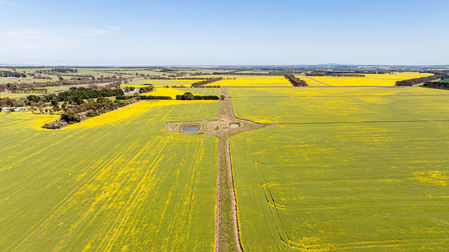 2320 Princes Highway Winchelsea VIC 3241 - Image 2