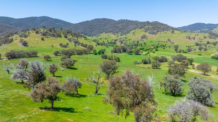 Lot 3 Miller Road Staghorn Flat VIC 3691 - Image 2