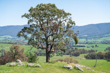 Lot 3 Miller Road Staghorn Flat VIC 3691 - Image 3