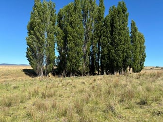 441 Bulgundara Road Dalgety NSW 2628 - Image 2