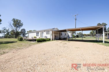 211L Mogriguy Road Eumungerie NSW 2822 - Image 3