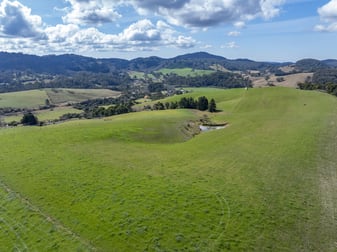 1378 Coramba Road Dorrigo NSW 2453 - Image 1