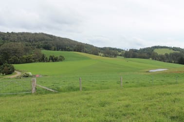 1644 Coramba Road Dorrigo NSW 2453 - Image 3