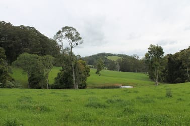 1644 Coramba Road Dorrigo NSW 2453 - Image 1