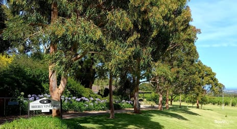76 St Andrews Terrace Willunga South SA 5172 - Image 2