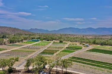 1 Greta Road Oak Valley QLD 4811 - Image 3