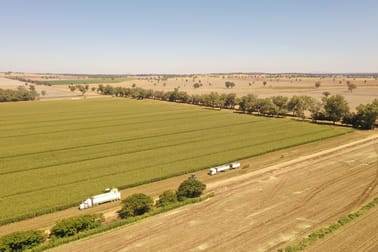 69 Ercildoune Lane South Forbes NSW 2871 - Image 1