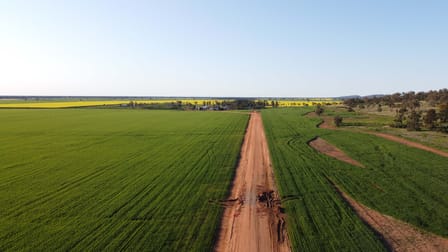 Wirrinya NSW 2871 - Image 2