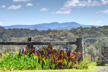 Dorrigo NSW 2453 - Image 1