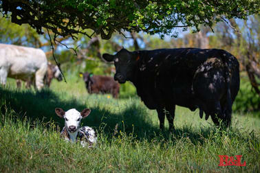 404 O'Connell Road Oberon NSW 2787 - Image 3