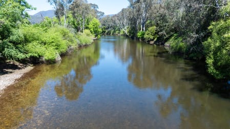 55 Merri Meadows Lane Merriang South VIC 3737 - Image 2